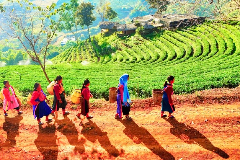Trekking route in Thailand